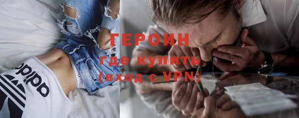 индика Дмитров