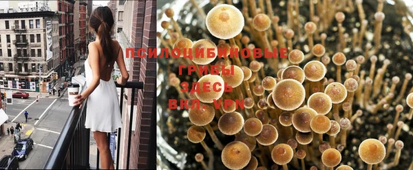 круглые Арсеньев