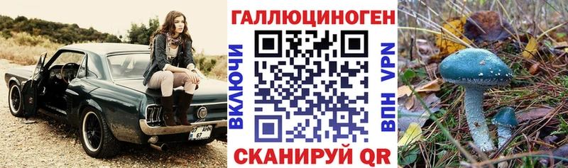 Псилоцибиновые грибы MAGIC MUSHROOMS  Будённовск 